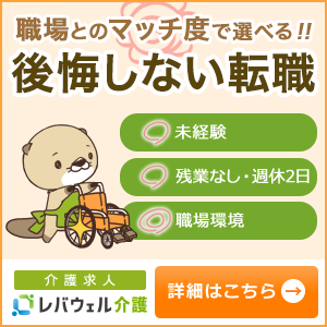 レバウェル介護